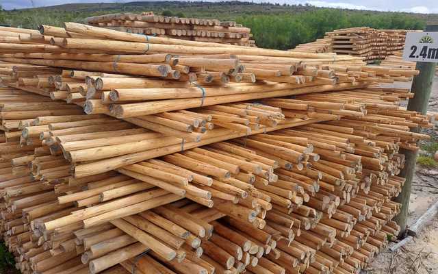 WhatsApp_Image_2022_10_11_at_06.33.52_3_1665481464