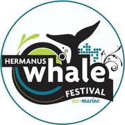 Have a Whale of a Time in Hermanus