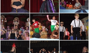 Tergende geheim van ‘Elsa on the Run’ is opgelos