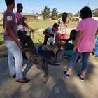 Dog Washing - RSE Animal Welfare Society - Xplorio™ Riviersonderend