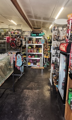 IMG_20221011_104242_edit_413196861434866_1665679250