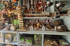 IMG_20221011_104305_edit_413153883056747_1665679290