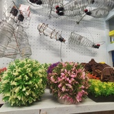 Fish Tank Accessories - Keiko Pet Shop - Xplorio™ Kleinmond