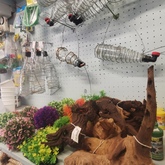 Garden Bird Bottles - Keiko Pet Shop - Xplorio™ Kleinmond