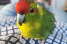 IMG_20221005_172008_1665680406