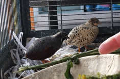 IMG_20221005_095023_1665680455