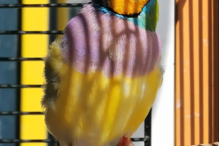 IMG_20221005_093042_1665680491