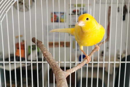 IMG_20221005_092506_1665680532