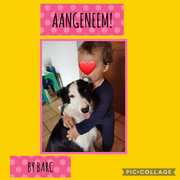 Lora Adopted: Thank You Wilmien Hardean