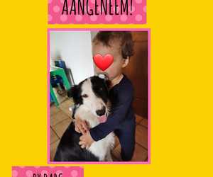 Lora Adopted: Thank You Wilmien Hardean