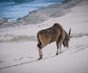 High School Student Captures The Beauty of De Hoop