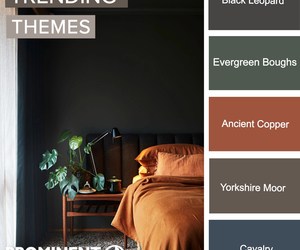 Prominent Paints: Classic Bold Hues
