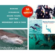 Next Marine Dynamics Shark Cage Diving Trip: 19 October 2022