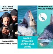 Next Marine Dynamics Shark Cage Diving Trip: 20 October 2022