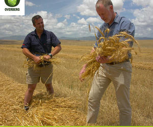 Wêreld Kos Dag 2022!