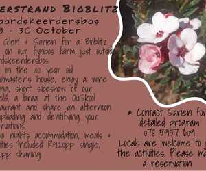 BioBlitz in Baardskeerdersbos