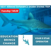 Next Marine Dynamics Shark Cage Diving Trip: 25 October 2022