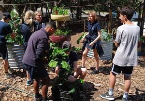 We're Back in Our Veggie Garden