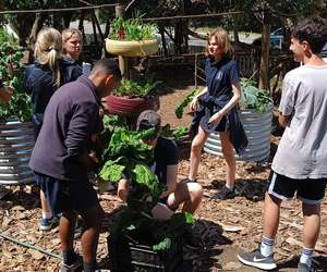 We're Back in Our Veggie Garden