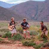 Jacana - Afrikanos - Xplorio™ Gansbaai