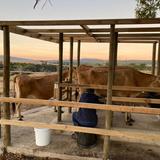 WhatsApp_Image_2022_03_18_at_6.51.21_AM_1647587242_1666860075