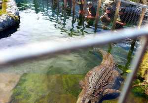 Year-End Team Building