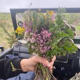 Fynbos Flowers - Schneider’s Cape Floral Kitchen - Xplorio™ Gansbaai 