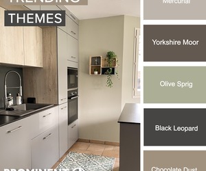 Tint Your Prominent Premium Eggshell Enamel