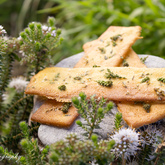 Schneider’s Cape Floral Kitchen - Xplorio™ Gansbaai 