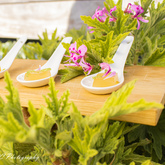 Schneider’s Cape Floral Kitchen - Xplorio™ Gansbaai 