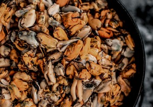 November 2022 Buffet Calendar