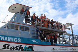 Daily Blog: 06 November 2022 | Shark Cage Diving in South Africa