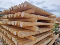 Quality Vineyard Pine Poles