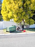 Household Waste Collection Over December Holidays