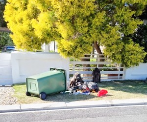 Household Waste Collection Over December Holidays