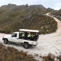 Branded Vehicle - Cape Canopy Tours - Xplorio™ Grabouw