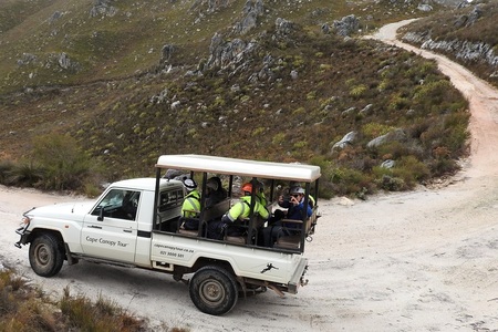 branded_vehicle_1668518354