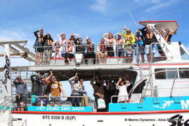 Daily Blog: 14 November 2022 | Shark Cage Diving in South Africa