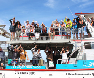 Daily Blog: 14 November 2022 | Shark Cage Diving in South Africa