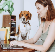 Tips On How To Manage A Hybrid Team