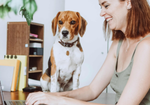 Tips On How To Manage A Hybrid Team