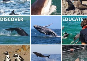 West Coast Rock Lobster Season 2023 / 2024