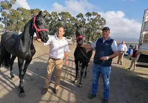 SA Flaam Skou, Moreesburg