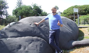 Wally, die Walvis in De Kelders trek ‘n nuwe baadjie aan