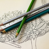 Meditative Colouring - Menucha Coffee & Crafts - Xplorio™ Pringle Bay