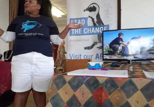 Bedreigde Afrika Pikkewyn Laat Bietoubossers Nadink 