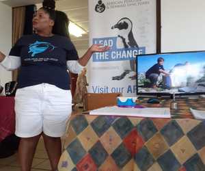 Bedreigde Afrika Pikkewyn Laat Bietoubossers Nadink 