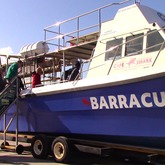 Cape Shark Adventures - Xplorio™ Gansbaai 