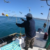 Cape Shark Adventures - Xplorio™ Gansbaai 