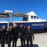 Cape Shark Adventures - Xplorio™ Gansbaai 